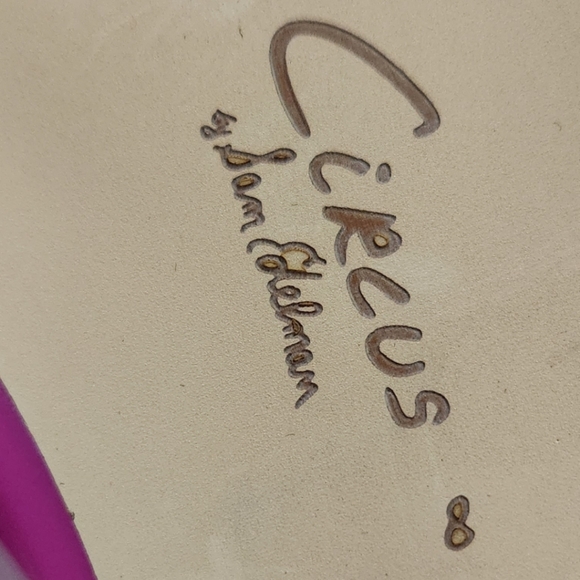 🆕️⬇️🎉HOST PICK🎉 Circus by Sam Edelman Inara Slide Sandals - Picture 12 of 13